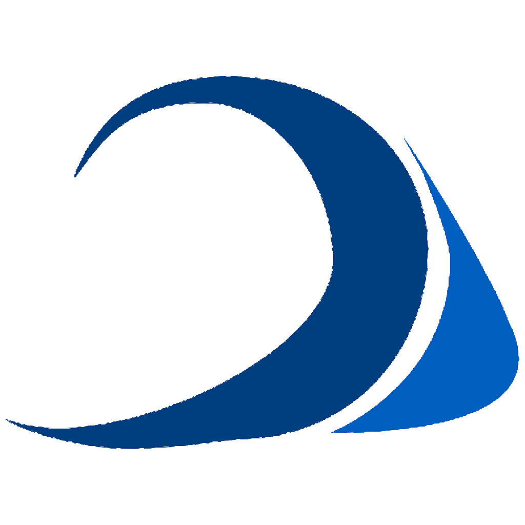 Big Wave Software Logo